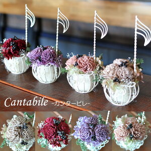  vU[uht[ AW J^[r gL sAm \ t y   Mtg  v[g 搶 k  j  [X AWg  Ce