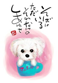 スミレとぉちゃんのメッセージはがき 犬シリーズ | マルチ−ズ 葉書 和製はがき ポストカード メッセージカード 癒し 和み 言葉 絵プチギフト プチプレゼント ギフト プレゼント 販促 粗品 景品 メッセージ はがき カード 可愛い 犬 猫 おばあちゃん