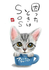 スミレとぉちゃんのメッセージはがき 猫シリーズ | アメリカンショートヘア 葉書 和製はがき ポストカード メッセージカード 癒し 和み 言葉 絵プチギフト プチプレゼント ギフト プレゼント 販促 粗品 景品 メッセージ はがき カード 可愛い 犬 猫 おばあちゃん