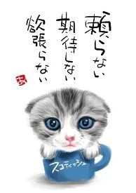 スミレとぉちゃんのメッセージはがき 猫シリーズ | スコティッシュ 葉書 和製はがき ポストカード メッセージカード 癒し 和み 言葉 絵プチギフト プチプレゼント ギフト プレゼント 販促 粗品 景品 メッセージ はがき カード 可愛い 犬 猫 おばあちゃん