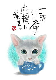 スミレとぉちゃんのメッセージはがき 猫シリーズ | ロシアンブルー 葉書 和製はがき ポストカード メッセージカード 癒し 和み 言葉 絵プチギフト プチプレゼント ギフト プレゼント 販促 粗品 景品 メッセージ はがき カード 可愛い 犬 猫 おばあちゃん