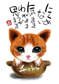 スミレとぉちゃんのメッセージはがき 猫シリーズ | チャトラ 葉書 和製はがき ポストカード メッセージカード 癒し 和み 言葉 絵プチギフト プチプレゼント ギフト プレゼント 販促 粗品 景品 メッセージ はがき カード 可愛い 犬 猫 おばあちゃん
