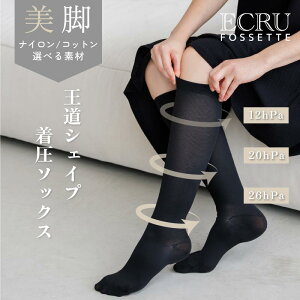 yIׂfށz \bNX VFCv nC\bNX C VFCv iC ȍ zCg ubN d d Ōt OL  RvbV 22cm 23cm 24cm 25cm 26cm {