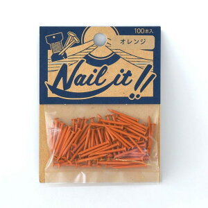 ネコポスOK ストリングアート ネイルイット Nail it 釘 袋入り 100本 オレンジ ナチュラル カラーくぎ クギ 手作り ハンドメイド DIY
