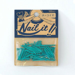 lR|XOK XgOA[g lCCbg Nail it B ܓ 100{ ^[RCY i` J[ NM  nhCh DIY