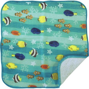 lR|XOK ~jnJ` K[[ nJ` 18cm { aS ̂ЂTCY ^I͂񂩂 C̓ Mы u[ F OcH  tBbV  } q LbY xr[ 킢 