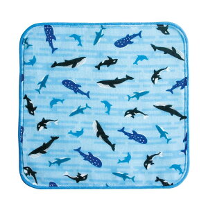 lR|XOK ~jnJ` K[[ nJ` 18cm { aS ̂ЂTCY ^I͂񂩂 C̓ ĈȂ u[ F OcH CJ T  } q LbY xr[ 킢