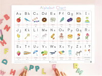 アンシャンテのアルファベットひょう【AlphabetChart】A3・角丸・防水