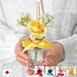 y2_ȏ10%OFFN[|z yKizy{z t[ fBt[U[     50 FB Mtg j G  Mtg{bNX  A} IV  蕨