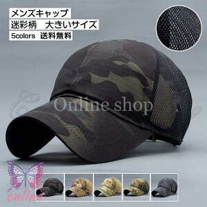 YLbv Xq ʕ Jt bV  ėp  傫TCY X|[c Β St nbg  AEghA ꂢ 