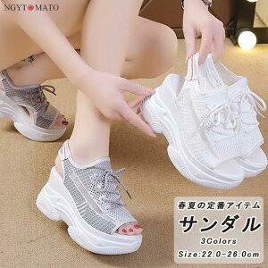 T_    [XAbvV[Y T_ fB[X Xj[J[T_ Lk JWA ₷ ₷  r  y