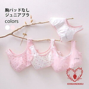 WjAu ̎q n[tgbv JbvȂ u mC[ ^Nu w w   LbYu ȍ uW[