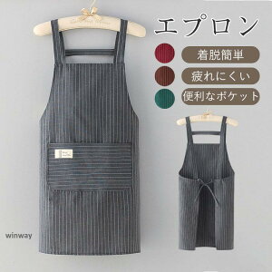 yX[p[SALE/z Gv   ۈm Gvs[X k Ԃ l JtF 傫TCY Vv   JtF [N ct HX X[p[Z[