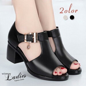 EFbW\[T_ fB[X T_ nCq[ I[vgEpvX V[Y C JWA  r  傫TCY ꂳ