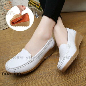 JV fB[X V[Y ؂ Vv pvX ₷ 5F vbgtH[ t  ₷ Ȑ [Jbg