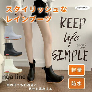 CV[Y CV[Y Jp fB[X C JC n h J ~J΍ ʋ ʊw  