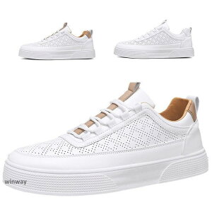 Xj[J[ Y zCg tFCNU[Xj[J[ C V[Y ʋC 2024 t@bV