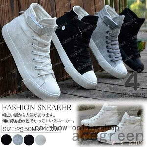 Xj[J[nCJbgYCyAbNfB[X傫TCYJWAV[YLoX[XAbvȂʋC