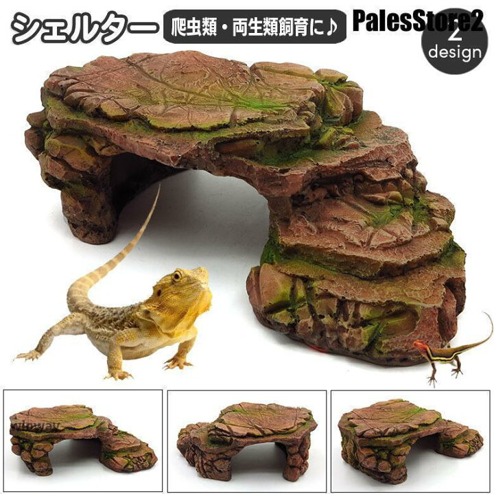 楽天市場】シェルター 浮島 爬虫類 両生類 亀 カメ トカゲ イモリ 