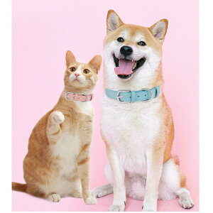    L ybg ^ ^ ^ ybgpi hbOObY S@y@ ɂȂ@v J[ @NX}X