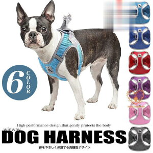  n[lX y bV EFAn[lX ybg   Lbg hbO