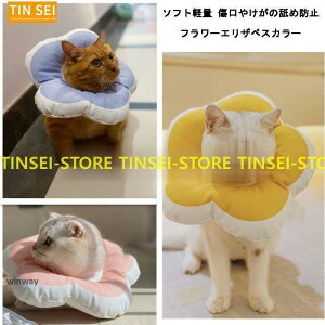 \tgGUxXJ[ p Lp pEFA  ӂӂ _炩 Jt  y ی  畆a  ߉\ PA[pi ^ t  H ~