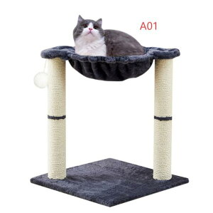 u^Cv Lbgc[ ^[ Ђ u ^ S 34cm RpNgTCY ^s XgX bNX ݒu g ȒP ybgpi