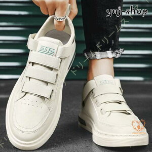 Y Xj[J[ xN Xb| vC JWAV[Y jO ~ ʋC tbg j EH[LO X|[c p ʊw ʋ