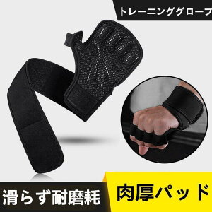 g[jOO[u ؃g O[u p[Obv ~  xg EVAX|W X|[c 炸H VR  ی 2 ϖ jp