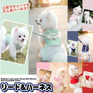  n[lX [ht ybg  fUC EFAn[lX  Lbg hbO bV