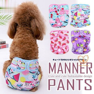  z }i[pc Tj^[pc Jt t[c }i[oh IcJo[ hbOEFA  }[LOh~ gC 