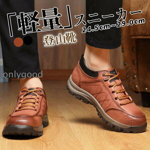 Xj[J[ Y Xj[J[ EH[LO gbLOV[Y oRC V[Y EH[LOV[Y y  ₷ ƌC