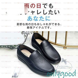 CV[Y Y o[V[Y JC [t@[ h JWA ɂ n Xb| ƌC dp ~JΉ hrWlX