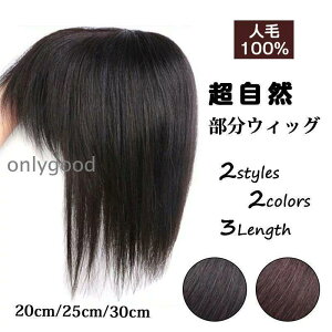 OEBbO R EBbO 25CM fB[X V[g ~fBA  ނ bVlbg gbvs[X wAs[X