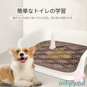 ܂肽݉\I gC gC{ gC pgC gC gCe ̃gC ybgg[ gCg[jO gCg[ g