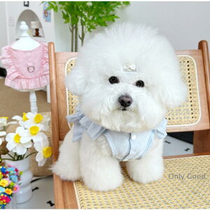 ybg    t    t n[lX EFA 킢  nCuh L hbO EFA