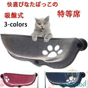 L  z xbh nbN  | tȒP  lRp Lbg p LnbN xbh