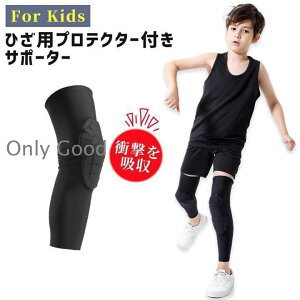 ЂpveN^[tT|[^[ qp Ђ O bOX[u j[pbh Gpbh h~ X|[c NbV ی y ʋC