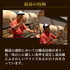 ゼーレ最高の技術