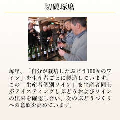 シルバー赤沢メルロー2016赤ワイン辛口エーデルワイン日本ワイン
