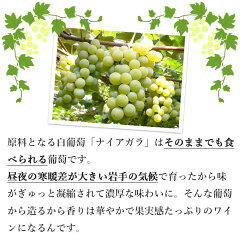 エーデルワインナイアガラスパークリング白岩手720ml