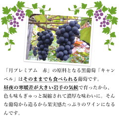月プレミアム赤