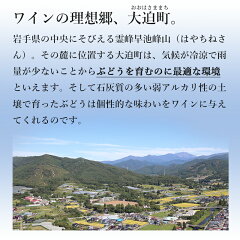 シルバーシャルドネ2016白