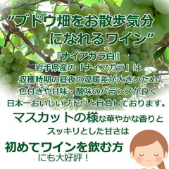 【送料無料】エーデルワインお得な甘口4本セット(ナイアガラ、月セレ赤白ロゼ)(女子会)(内祝)(御礼)(母の日)