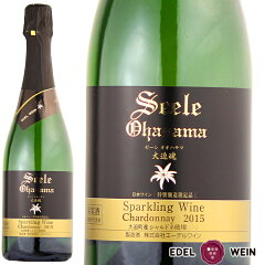 エーデルワインゼーレオオハサマスパークリングワインリースリング・リオン2015白岩手720ml
