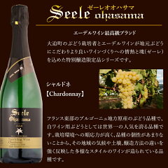 エーデルワインゼーレオオハサマスパークリングワインリースリング・リオン2015白岩手720ml