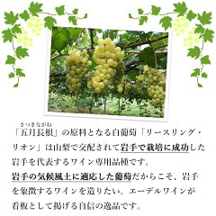 エーデルワイン五月長根リースリング・リオン2020白岩手750ml