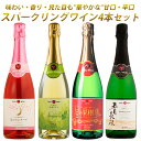 【送料無料】スパークリングワイン 飲み比べ4本セット（720ml×4本） 甘口・辛口 月のセレナーデ ロゼSP/ナイアガラSP/五月長根リースリングSP/星の果樹園シードルドライ｜日本ワイン エーデルワイン 岩手県産｜お中元・ホームパーティー 敬老の日