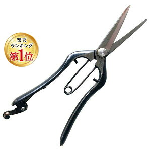 yyVLO1ʊlzhEJ 4953981510258  b،^Ȃ~ DK620