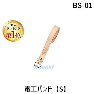 (LINE�N�[�|���L)�ӂ����y�� BS-01 �d�H�o���h�yS�z BS01